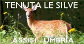 Assisi - Tenuta Le Silve - Romantik Hotel