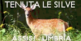 Assisi - Tenuta le Silve - Romantik & Charme Hotel