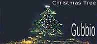 Gubbio e l'albero piu' grande del mondo
