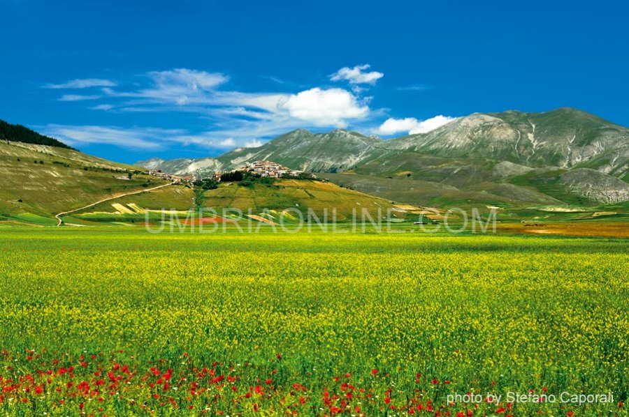 Umbria Photo Reportage, 92 cities photos by UmbriaOnLine.com