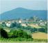 Turismo in Umbria: informazioni turistiche su Avigliano Umbro