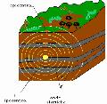 cartografia