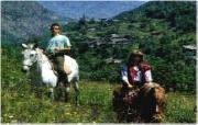 Passeggiate a cavallo sul Monte Subasio