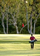 Golf & Country Club Caldese