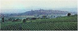 Veduta di Torgiano