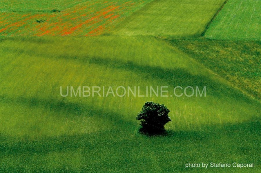 Umbria Photo Reportage, 92 cities photos by UmbriaOnLine.com
